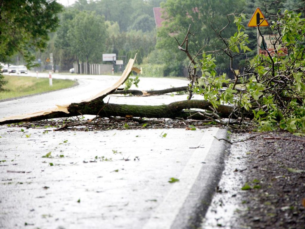 Surviving Storm Season: Strategies and Power Backup Solutions